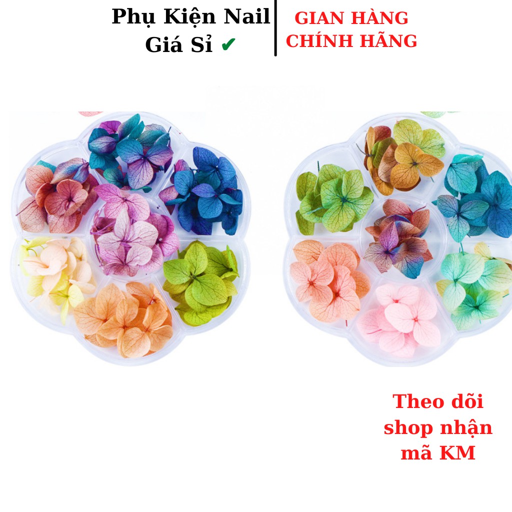 Hoa khô lụa cánh to làm ẩn móng tay chân