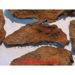 500 gam củ mướp gai phơi khô