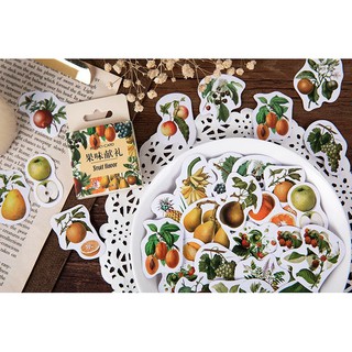Bộ 45 Sticker Hàn Quốc hình Quả dán trang trí E20