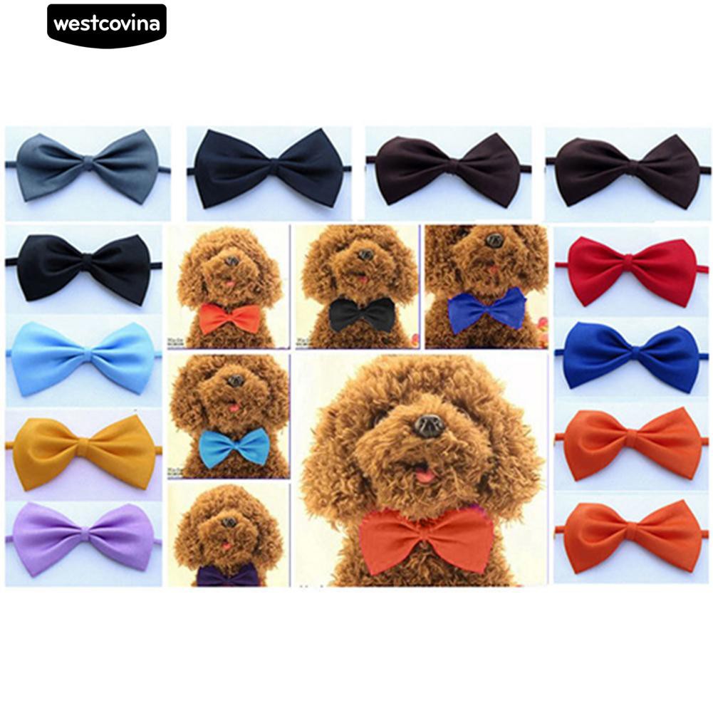 Vòng Cổ Hình Nơ Xinh Xắn Cho Thú Cưng