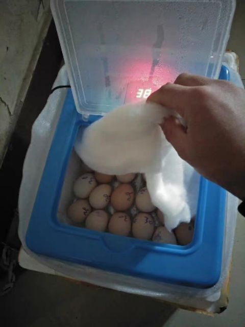 XẢ THANH LÝ [ Săn Sales] 10.10 NEW - Máy ấp trứng nhập khẩu tiết kiệm điện L24_30 đầy kho ! . . Hàng Chuẩn auth ｡
