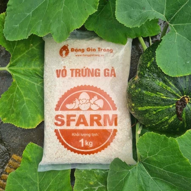 Vỏ trứng gà Sfarm đã qua xử lý