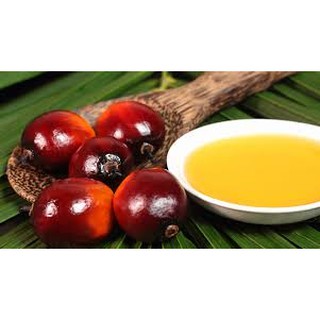 DẦU CỌ ( Palm Oil) 1000ml (1lít)