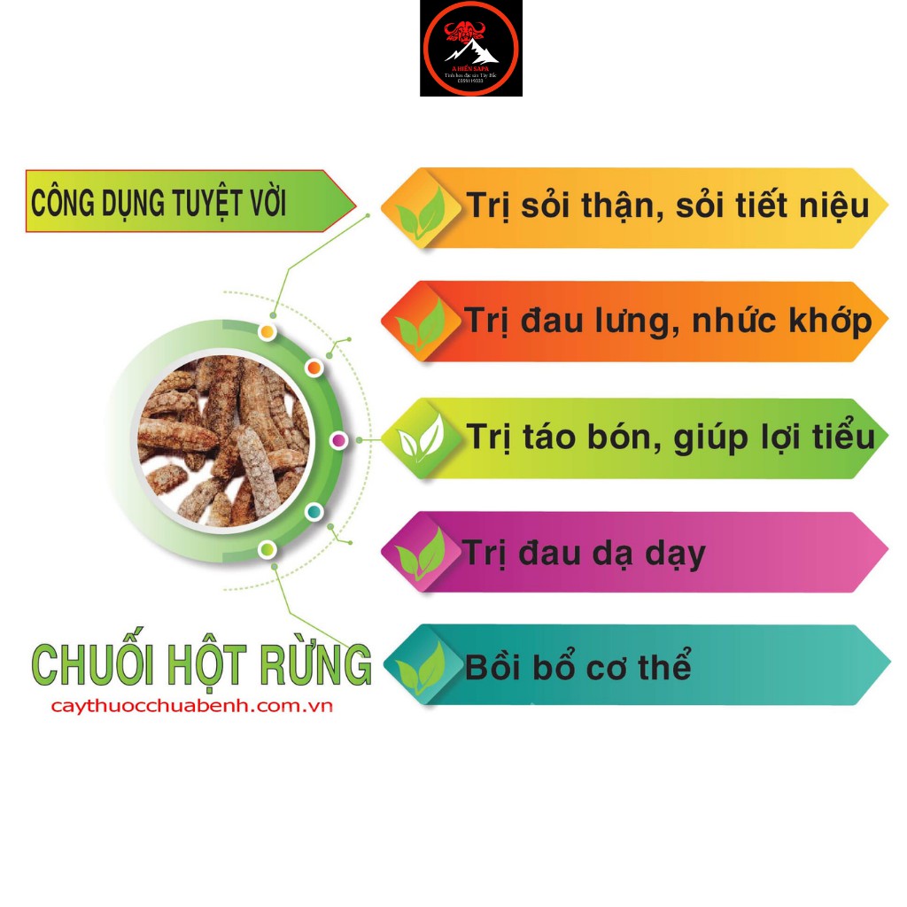 Chuối hột rừng khô Sapa gói 500 gr, nhà sấy đảm bảo, ngâm r.ượu, hãm trà rất tốt cho sức khoẻ