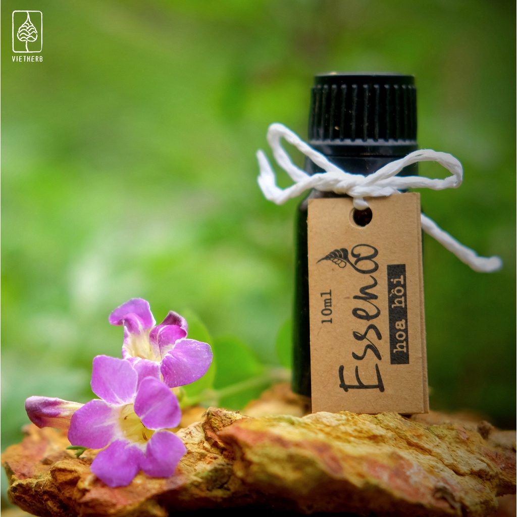 Tinh Dầu Đuổi Muỗi Hương Sả Chanh Từ Quả Màng Tang - Dầu Tràm Vietherb