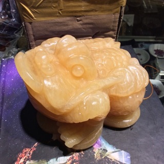 Cóc thiềm thừ