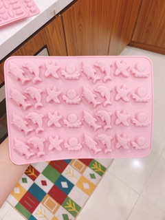 Khuôn kẹo chip chip