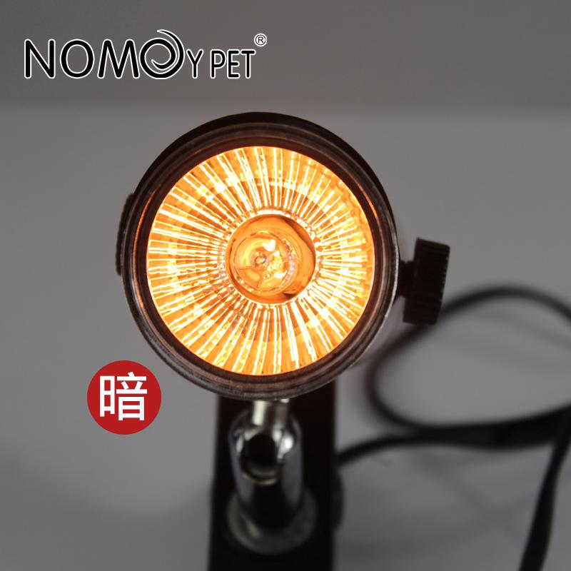 Đèn Sưởi Ấm Cho Rùa