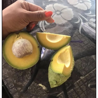 Bơ BOOT DakLak - Bơ Sạch Bao Ngon Bao Dẻo