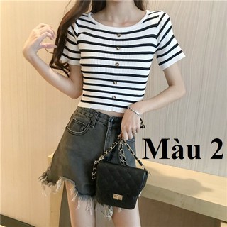 Áo len nữ kẻ cộc tay croptop