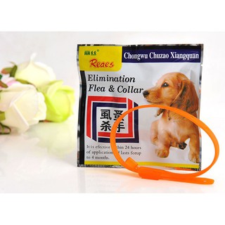 🐶🐱 VÒNG CỔ CHỐNG VE RẬN CHO CHÓ MÈO