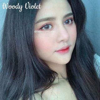 lens hàn quốc woody violet