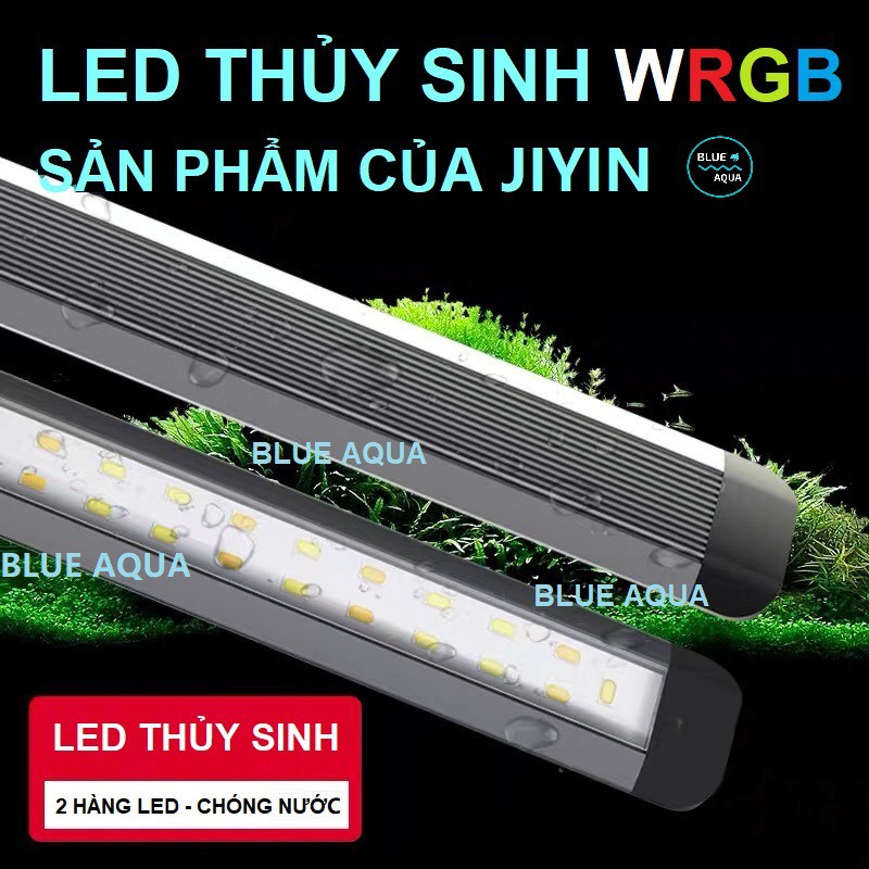 ĐÈN LED JIYIN WRGB CHO HỒ CÁ THỦY SINH
