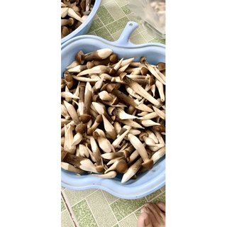 Nấm mối đen tươi Loại 2 - 500g