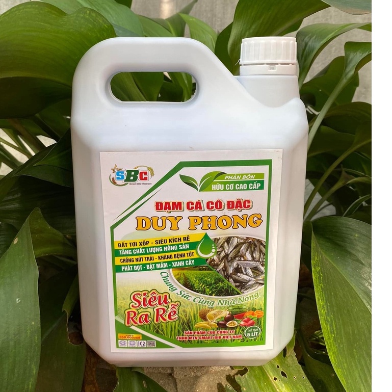 Phân Bón Hữu Cơ Dịch Đạm Cá Cô Đặc Cao Cấp Duy Phong Siêu Ra Rễ Tăng Hàm Lượng Dinh Dưỡng Cho Cây Trồng 5 Lít