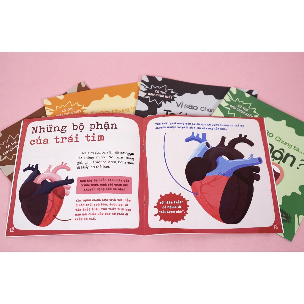 Sách - Bộ 12 Cuốn - Có Thể Bạn Chưa Biết- Vì Sao Chúng Ta...(montyclub)