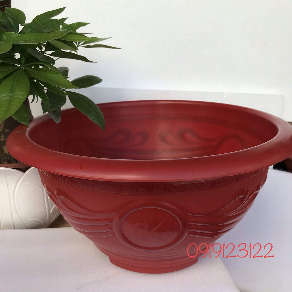 5 Chậu nhựa tròn to T48 đỏ KT 46*22cm trồng đào, quất, hoa hồng