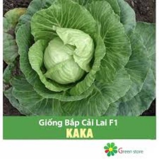 Hạt giống bắp cải lai f1 kaka