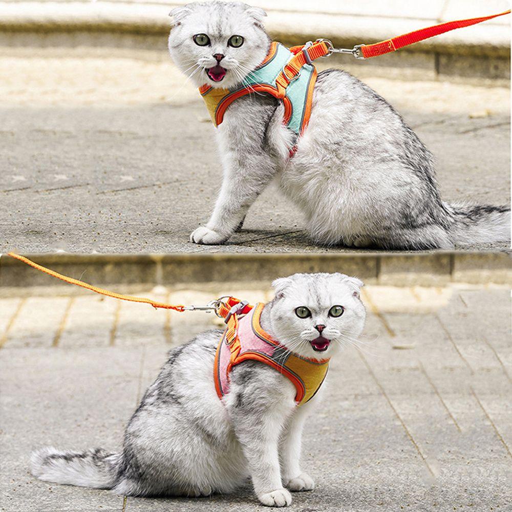 JARRED Dây Đai Dắt Thú Cưng Đi Dạo Mềm Mại Thoáng Khí Có Thể Điều Chỉnh