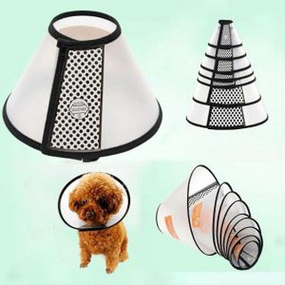 Loa chống Liếm zhichen dành cho chó mèo Full size