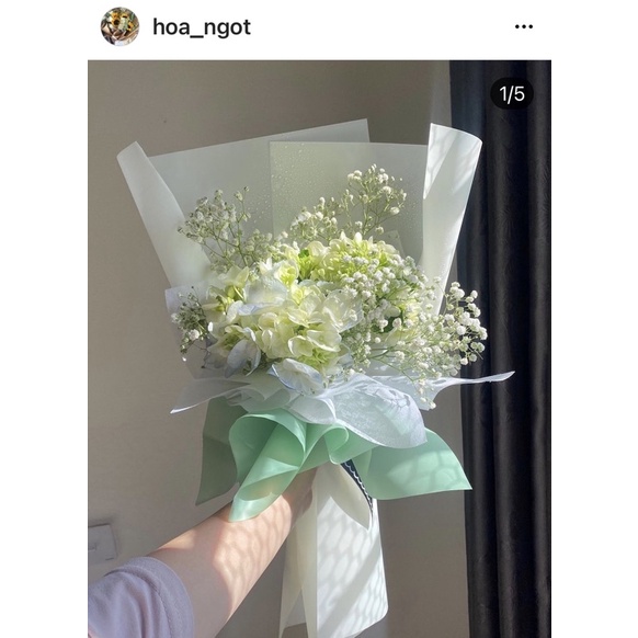 hàng sẵn, siêu rẻ Bó hoa TƯƠI tú cầu, bó hoa tốt nhiệp, bó hoa baby siêu xinh, bó hoa hướng dương nhỏ nhắn đáng yêu