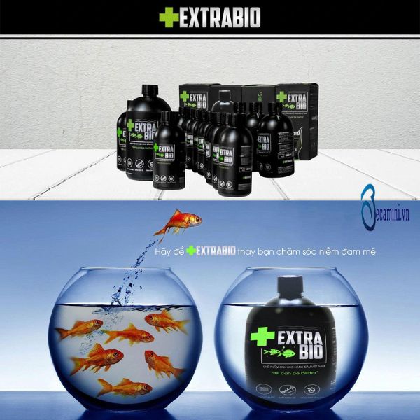 Men Vi Sinh làm trong nước bể cá , Chế phẩm vi sinh cho hồ cá Extra Bio