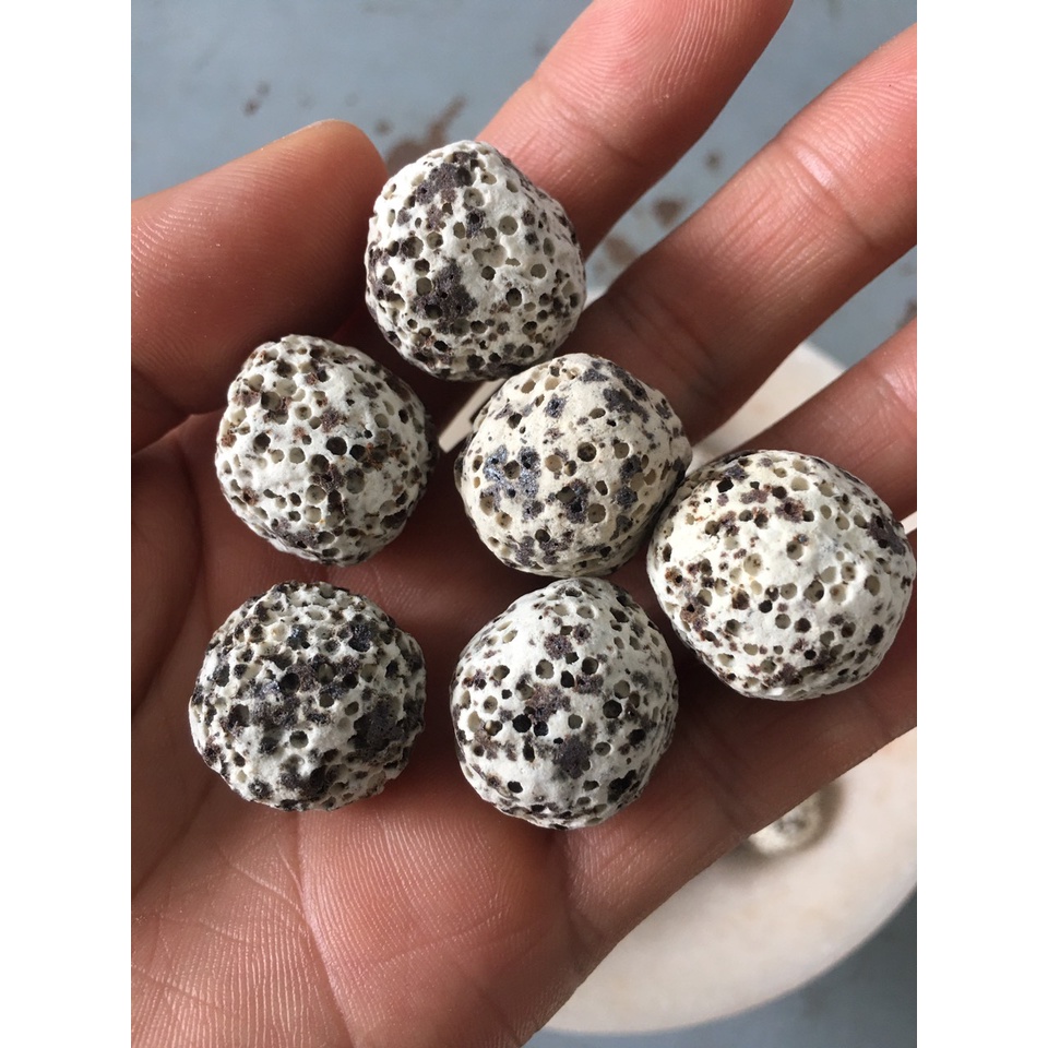 1kg sứ bi tiêu lọc nước bể cá chất lượng cao nhập khẩu Đài Loan.