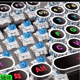 Bàn phím cơ gaming Thunder Wolf - Bàn phím gaming chất lượng cao, phím nảy và ròn, đèn LED với 9 chế độ - Bh 12 tháng