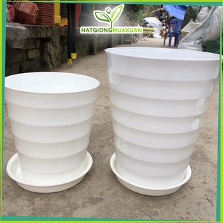 Chậu nhựa tròn cao xoắn trồng hoa đường kính 20-24cm