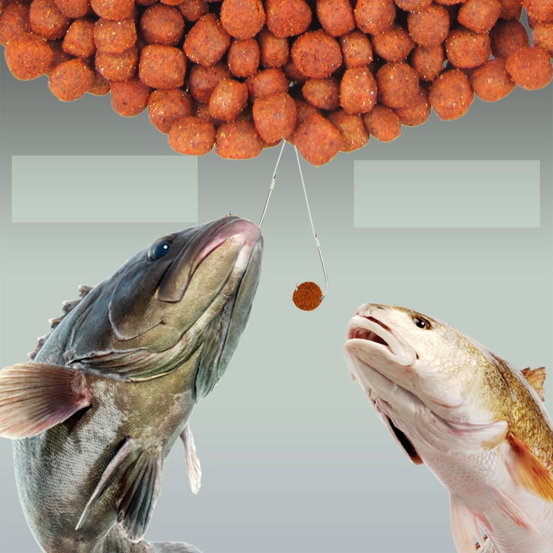 Mồi Câu Cá Trắm, Chép, Diếc, Rô Phi Dạng Viên Siêu Nhạy