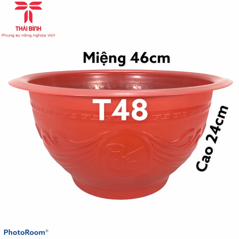 Chậu nhựa trồng cây truyền thống T48 PHÚC LỘC THỌ (GIÁ TẠI XƯỞNG) - THÁI BÌNH