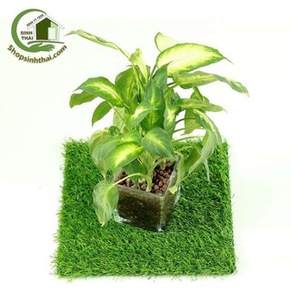 Tấm cỏ nhựa cao cấp trang trí lót chậu cây 25x25cm