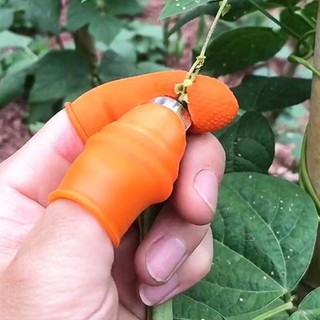 Bộ dụng cụ bấm nhặt rau, hái củ quả  Bóc tách tỏi, gừng dễ dàng