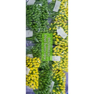 Combo lá mai, nụ mai đất sét