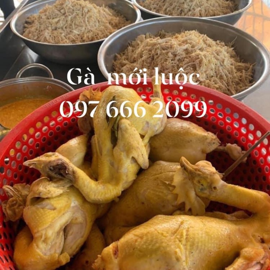 KHÔ GÀ TA XÉ CAY - Khô gà lá chanh | BigBuy360 - bigbuy360.vn