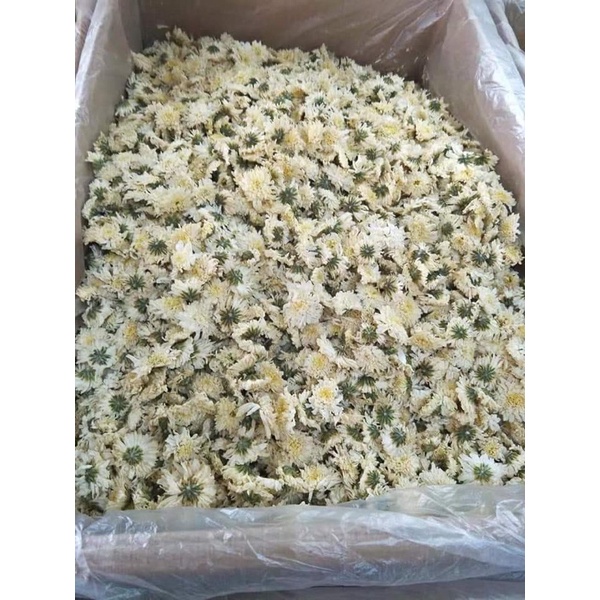 100g trà cúc trắng