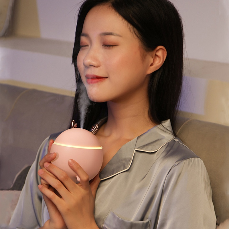 Máy phun sương Fnelse tạo độ ẩm dễ thương 300ml