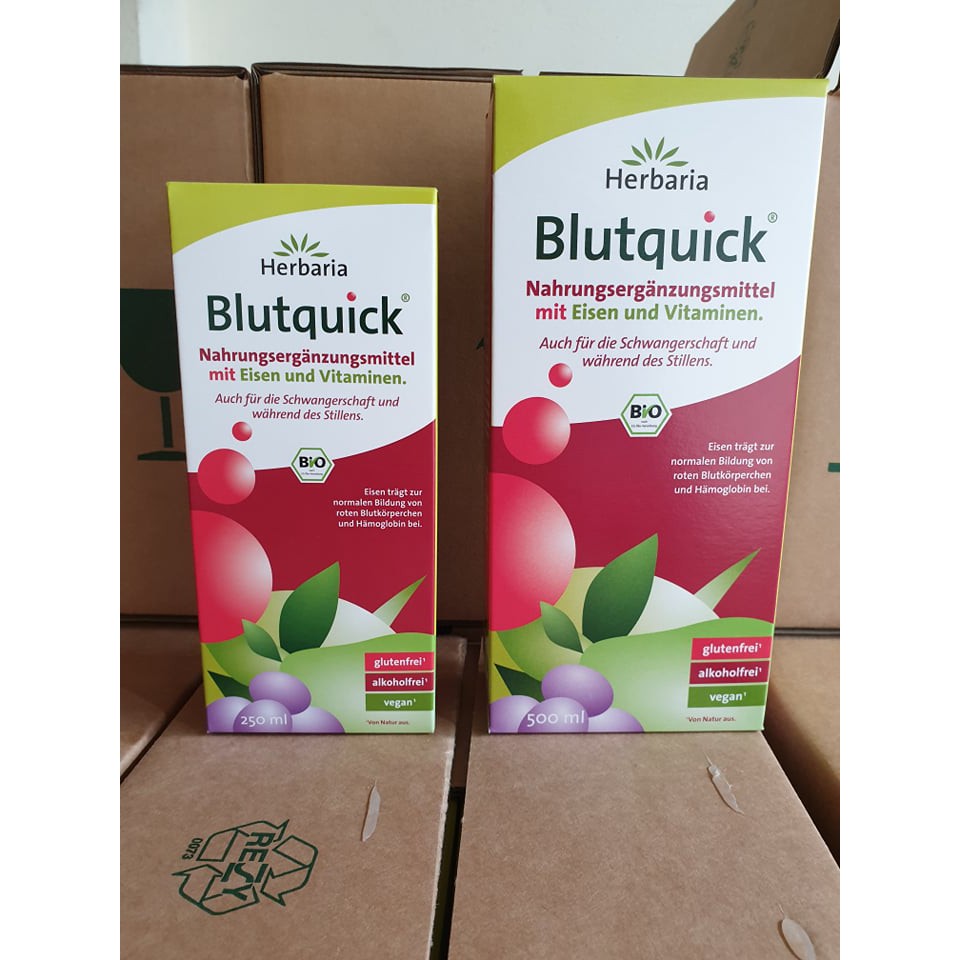 Dung dịch bổ sung sắt Blutqiuck 500ml