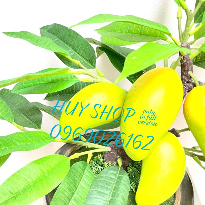 Hoa trái giả - Chậu cây trái XOÀI nhân tạo trang trí nhà cửa