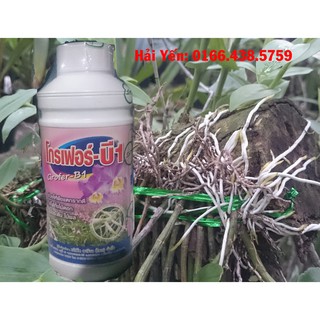 Chai 1 lít Phân bón lá, kích rễ cao cấp Vitamin B1 Grofer Thái Lan