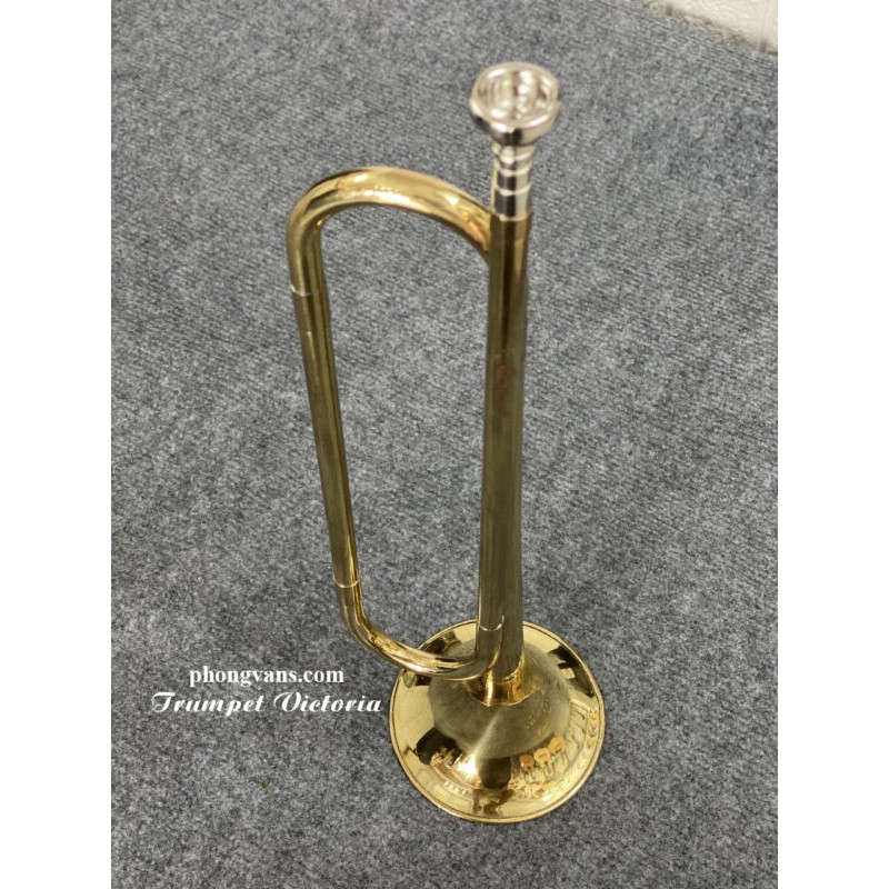 Kèn trumpet La rông hiệu Victoria trường học