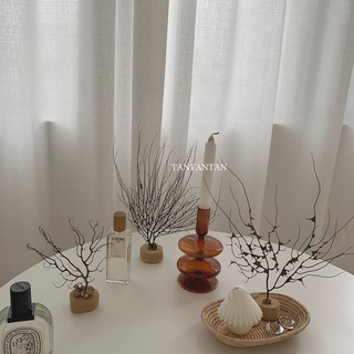 Cành Cây Khô Trang Trí Sáng Tạo Phong Cách Hàn Quốc