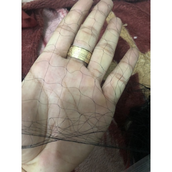 Lưới bắt chim tàng hình màu đen cao 9m dài 30m mắt 3 phân 8 túi