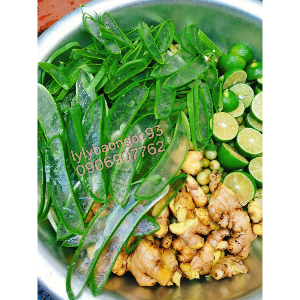 Dầu gội bồ kết thảo dược Nhà Ngọc 300ml - 500ml | BigBuy360 - bigbuy360.vn