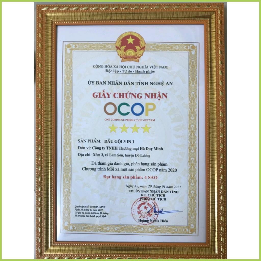 Dầu gội thảo dược cao cấp 2 trong 1,  thiên nhiên, thân thiện môi trường chăm sóc tóc mềm mượt - Chuẩn 100% | BigBuy360 - bigbuy360.vn