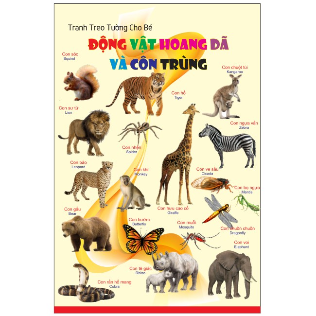 Bảng chữ cái và số - bé nhận biết động vật hoang dã - bé vừa học vừa chơi - kích thước 40 x 60 cm hoặc 100 x 70 cm