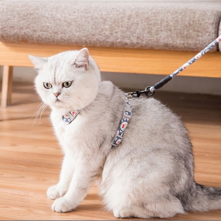 Dây Dắt Mèo Đi Dạo, Dây Dắt Mèo Dạng Yếm - Họa Tiết Nhật Bản 4 màu Chanh Sả