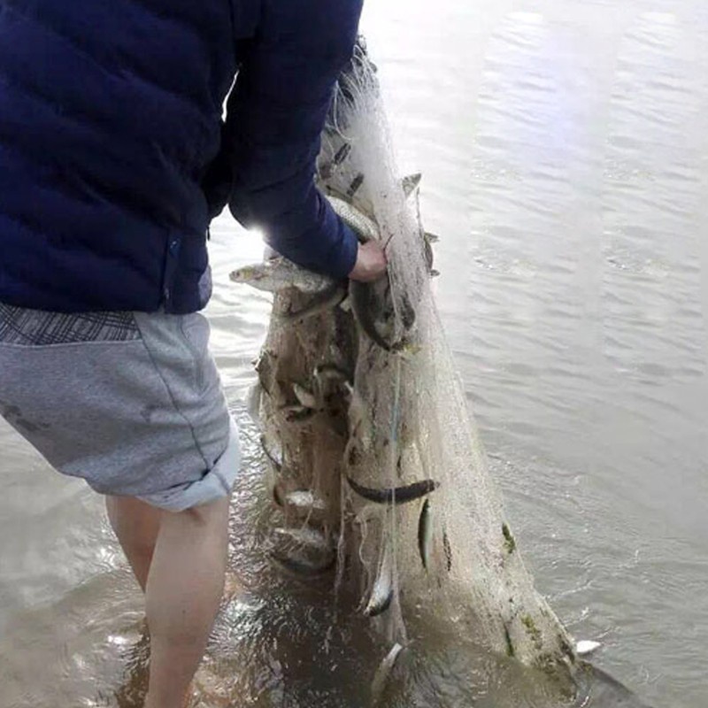 Lưới bẫy đánh cá ngoài trời sợi dây cước kích thước 8m x 0.8m