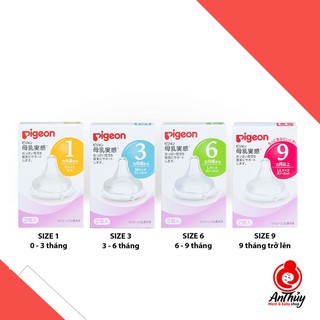 Núm ti Pigeon nội địa cổ rộng số 1,3,6,9