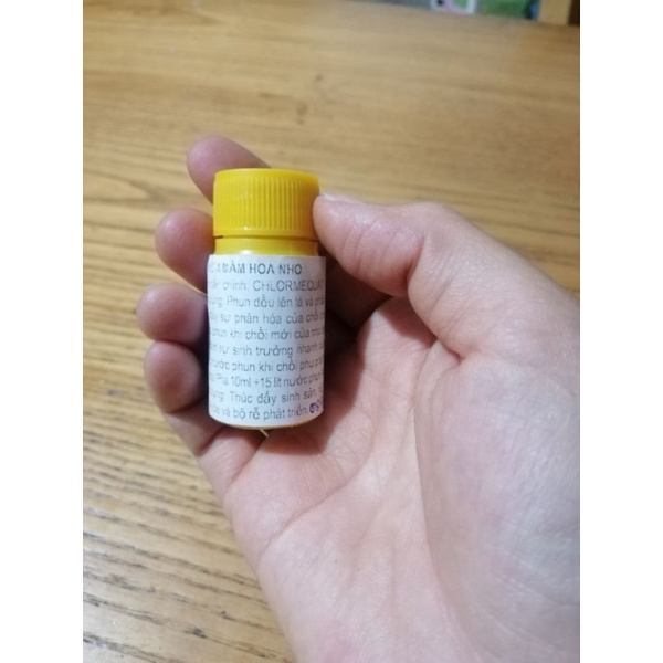PHÂN HOÁ MẦM HOA NHO - Loại nhỏ 10ml